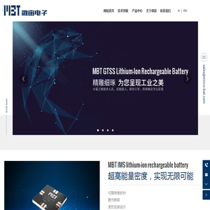 GTSS锂离子电池,IMS锂离子电池