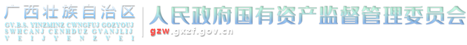 广西壮族自治区人民政府国有资产监督管理委员会网站