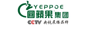 圆苹果装饰公司网站