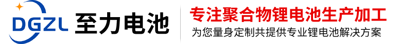 东莞市至力电池有限公司