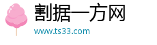 一搜必应