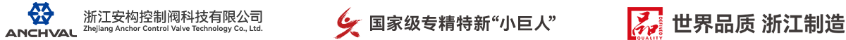 浙江安构控制阀科技有限公司