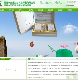 天目湖白茶