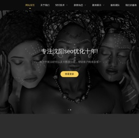 沈阳SEO