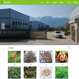 湖北省陵州药业有限公司