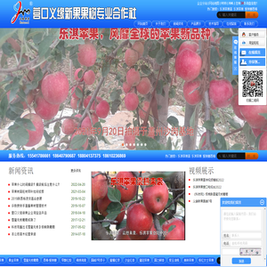 乐淇苹果苗