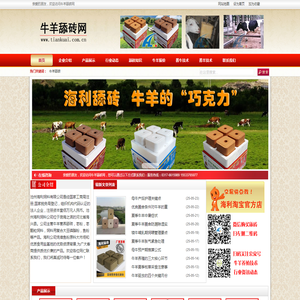 舔块
