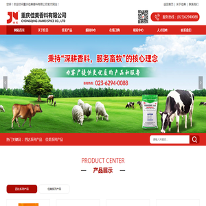 网站首页