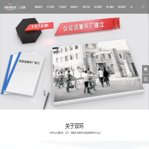 多缸机活塞环,精品系列活塞环