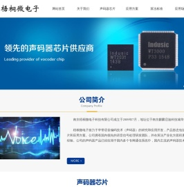 南京梧桐微电子科技有限公司