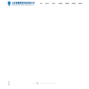 山东智慧照明科技有限公司