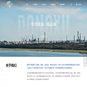 山东省东旭能投能源科技有限公司