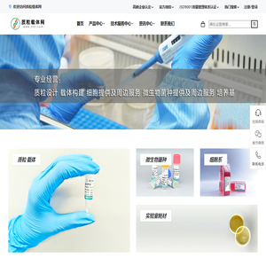 质粒载体网