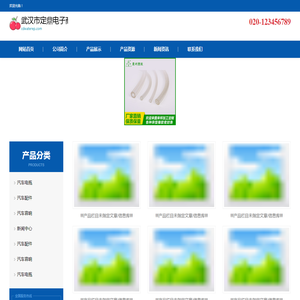 武汉市定鼎电子商务有限公司