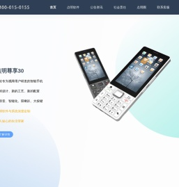 南京点明软件科技有限公司